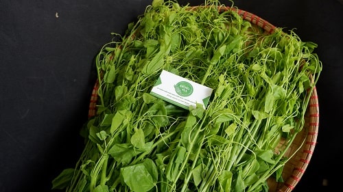 rau bò khai dũng hà